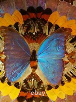 Antique Butterfly Wing Collectible Inlaid Wooden Serving Tray Vanity. Rare Gift