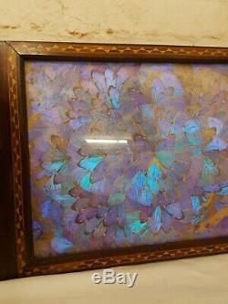 Antique Butterfly Wings Iridescent Blue Morpho Inlaid Wood Serving Tray 21x13