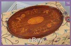 Antique Edwardian Mahogany Marquetry Inlaid Oval Serving Drinks Butlers Tray