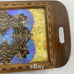 Antique Iridescent Butterfly Wing Serving Tray Wall Hanging Inlaid Wood Frame