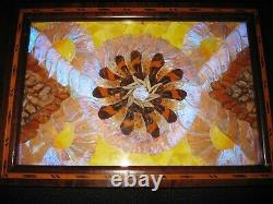 Antique Iridescent Butterfly Wing Serving Tray Wall Hanging Inlaid Wood Gorgeous