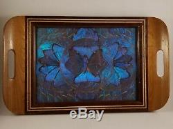 Antique Wood Inlaid Blue BUTTERFLY WING Large Serving Tray 1920s-1930s Brazil