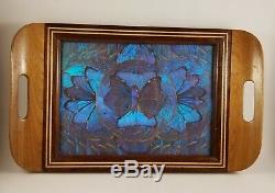 Antique Wood Inlaid Blue BUTTERFLY WING Large Serving Tray 1920s-1930s Brazil