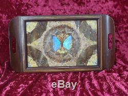 Brazilian Iridescent Butterfly Wing Art Serving Wood Tray Inlay Border Morpho