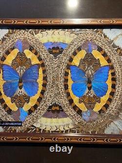 Butterfly Wing Wood Inlay Serving Tray 1973 Rio de Janeiro Brazil 20.5 STUNNING