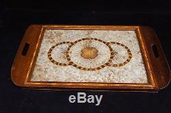 Hand Crafted Wood Framed Butterfly Moth Wings Serving Tray Mid Century Vtrg