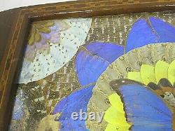 IRIDESCENT Butterfly Wing Serving Tray With Inlaid Wood Frame (C3)