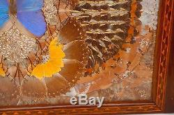 Large Brazilian Iridescent Butterfly Wing Art Serving Wood Tray Inlay Border 25