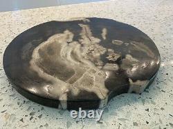 Large Polished Round Petrified Wood Stone Platter Appetizer Bar Serving Tray