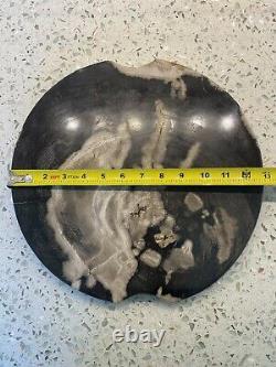 Large Polished Round Petrified Wood Stone Platter Appetizer Bar Serving Tray