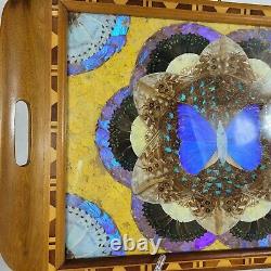 MCM Butterfly Wing Art Tray or Wall Decor Wood Inlay 20 x 13