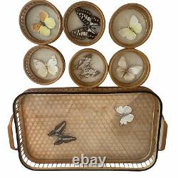 Mid Century Glass & Wood Butterfly Tray & 6 Matching Coasters Taxidermy