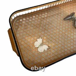 Mid Century Glass & Wood Butterfly Tray & 6 Matching Coasters Taxidermy