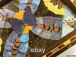 Old Vintage Iridescent Butterfly Wings Inlay Wood Serving Tray Woodenware Art