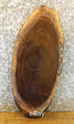 Oval Cut Live Edge Black Walnut Serving Tray/Cheese Board Wood Slab 6004