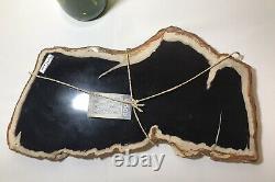Petrified Wood 13x7 Cheese Charcuterie Presentation Board Serving Tray Platter