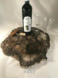 Petrified Wood Stone Platter Cocktail Tray AppetizerCheese Tray Home Decor