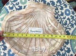 Tommy Bahama Distressed Wood Sea Shell Shaped Serving Piece NWT