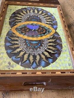 VTG deco Iridescent Butterfly Wing Serving Tray Wall Hanging Inlaid Wood Frame
