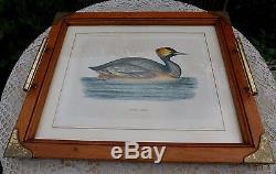 Vintage ABERCROMBIE FITCH Wood Brass Serving Tray Eared Grebe Etching Italy Rare