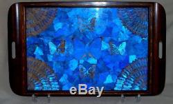 Vintage ART DECO iridescent MORPHO Butterfly WINGS Mahogany Wood SERVING TRAY