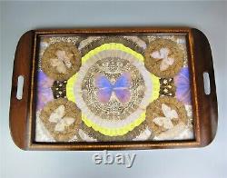 Vintage Art Deco Real Butterfly Specimen Taxidermy & Marquetry Wood Serving Tray