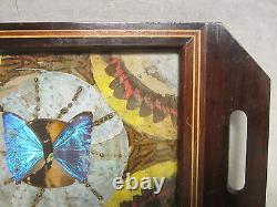 Vintage BUTTERFLY Serving TRAY beautiful design on edge wooden decorative art