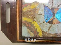 Vintage BUTTERFLY Serving TRAY beautiful design on edge wooden decorative art