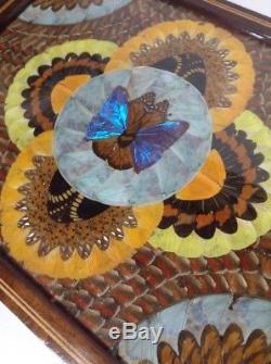 Vintage Brazil Brazilian Butterfly Wing Inlaid Wood Decorative Serving Tray