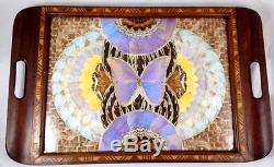 Vintage Brazil Casa ABC Butterfly Wing Serving Inlaid Wood Serving Tray Morpho