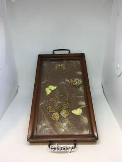 Vintage Butterfly Insect Serving Tray Drink Apps Presentation Entomologist