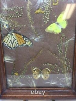 Vintage Butterfly Insect Serving Tray Drink Apps Presentation Entomologist