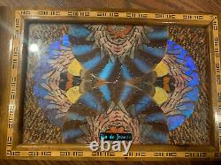 Vintage Butterfly Wing Art Wood Inlay Serving Tray Rio de Janeiro Brazil 14 x 8