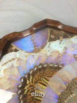 Vintage Handmade Butterfly Wing & Exotic Wood Tray