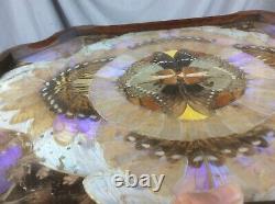Vintage Handmade Butterfly Wing & Exotic Wood Tray