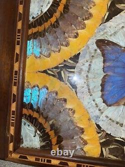 Vintage Handmade Butterfly Wing & Inlaid Wood Tray