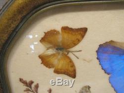 Vintage Iridescent Butterfly Wing Weed n Seed Folk Art Serving Wood Tray