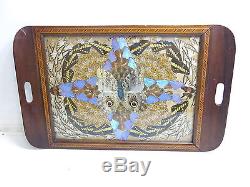 Vintage MID Century Butterfly Wing Art Serving Tray With Nice Wooden Inlay Work