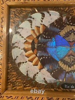 Vintage Rio de Janeiro, Brazil Iridescent Butterfly Wing Art Serving Tray Inlay