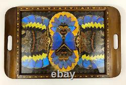 Vintage Wood & Glass Butterfly Wings Large Serving Tray Wall Hanging 20 X 13