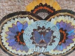 Vintage Wooden Serving Tray Butterfly Wings Under Glass Inlaid Hanging Picture