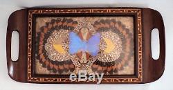 Vtg Brazilian Iridescent Butterfly Wing Art Serving Wood Tray Inlay Border 14x7